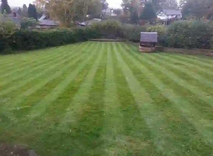 A neatly striped back-garden lawn