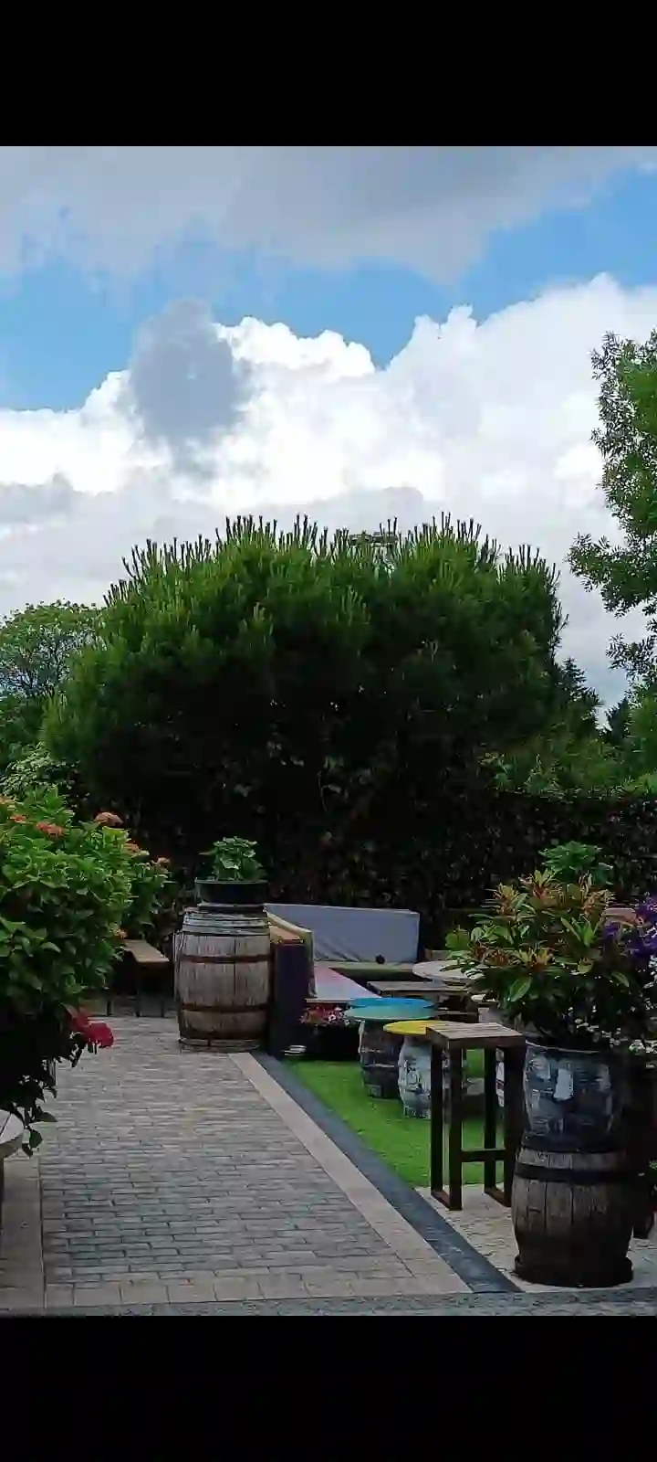 A tidy garden path and planted borders